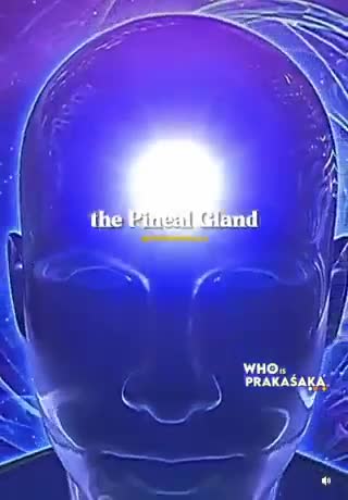 The Pineal Gland & It’s Importance To Us🤔