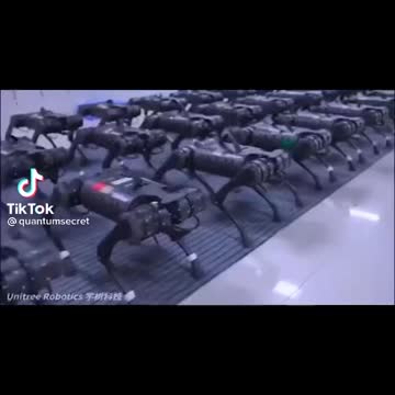 ROBOT DOGS MADE IN CHINA USED IN NYC!