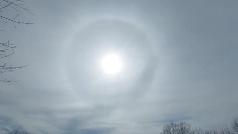 #2 3rd day in a row Bryan Texas 2/19/23 Halo