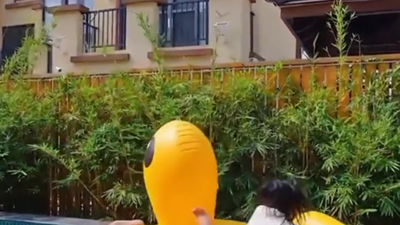 DL Panda Viral videos ON Internet