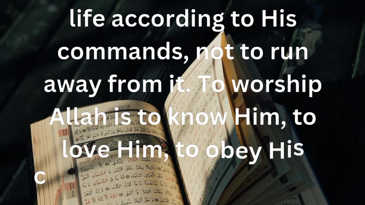 How to live life according to Quran?