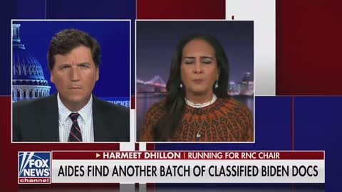 Harmeet Dhillon: We are watching the typical DC cover up.