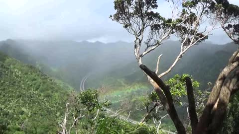 Aiea, HI — Aiea Loop Trail