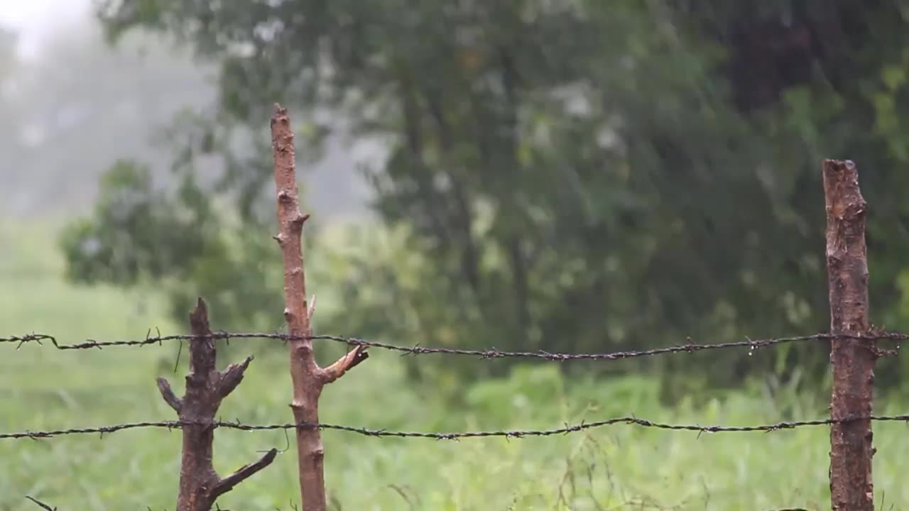 Relaxing Rain Sound, Heavy Rain With Thunder Storm For Deep Sleep