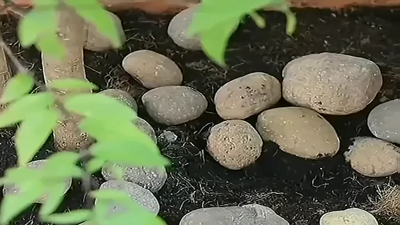 The whimsy of the stone diytools usefullifetips lifehacks