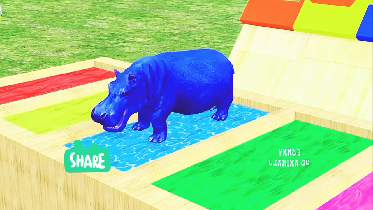 Long Slide Game With Elephant Gorilla Buffalo Hippopotamus Tiger - 3d Animal Game