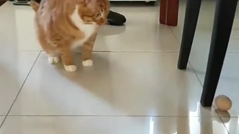 wait till the end...