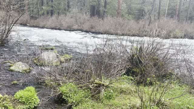 Campsite #6 – BEST Drive-In Site – Candle Creek Campground – Metolius River – 4K