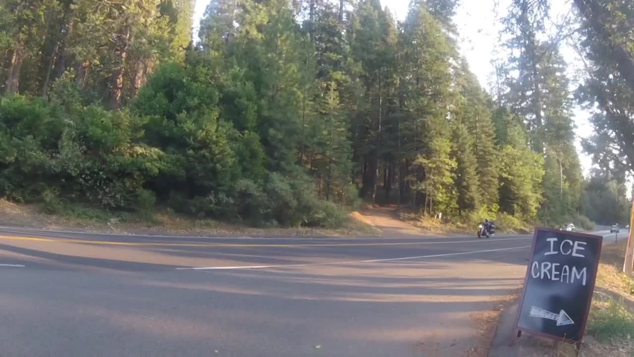 Rad Mini 4 Forest Road Ride