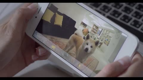 The #1 Best Gift for Dogs # Furbo Dog Camera