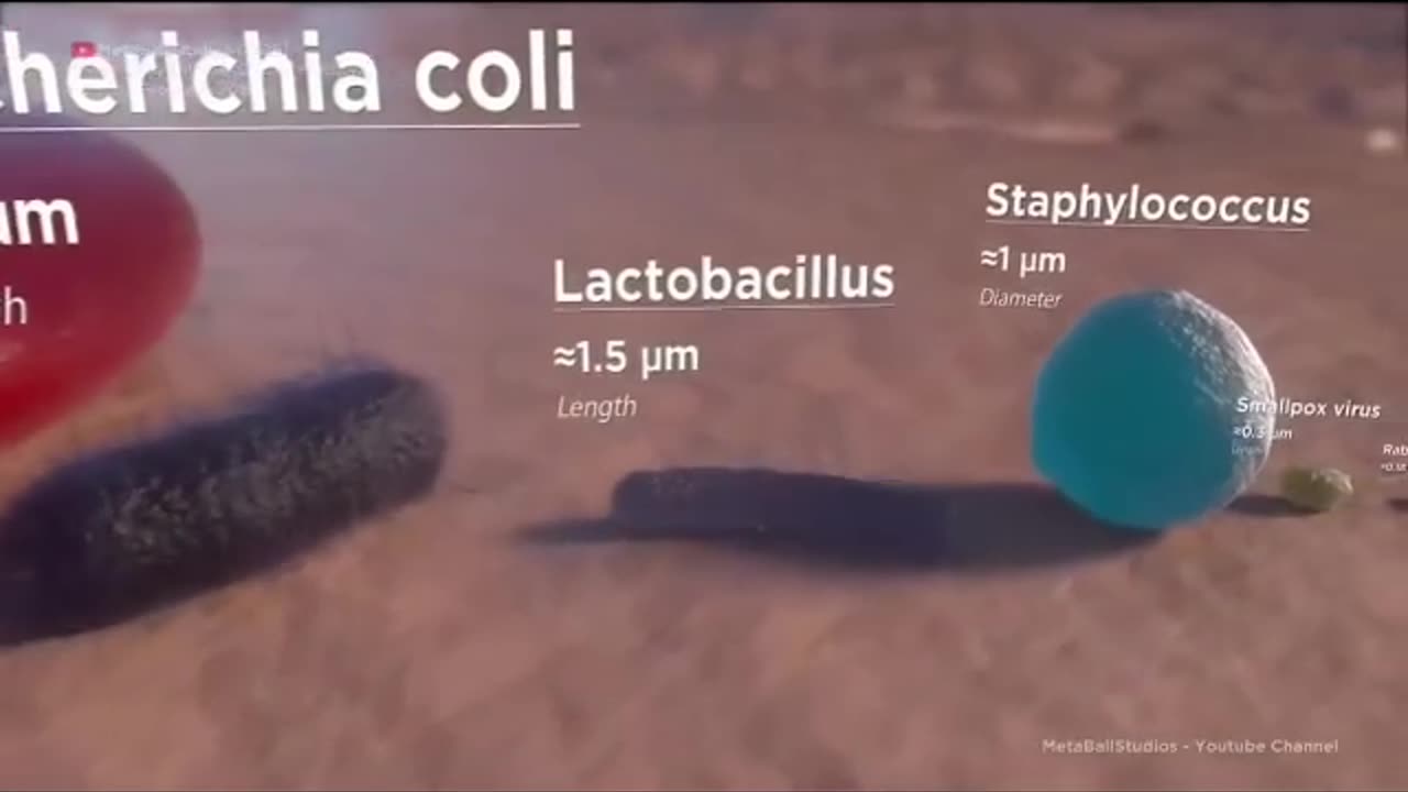 Micro Organisms