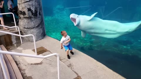 Funny Kids at the Aquarium | Girl SPOOKED By A Beluga Whale!