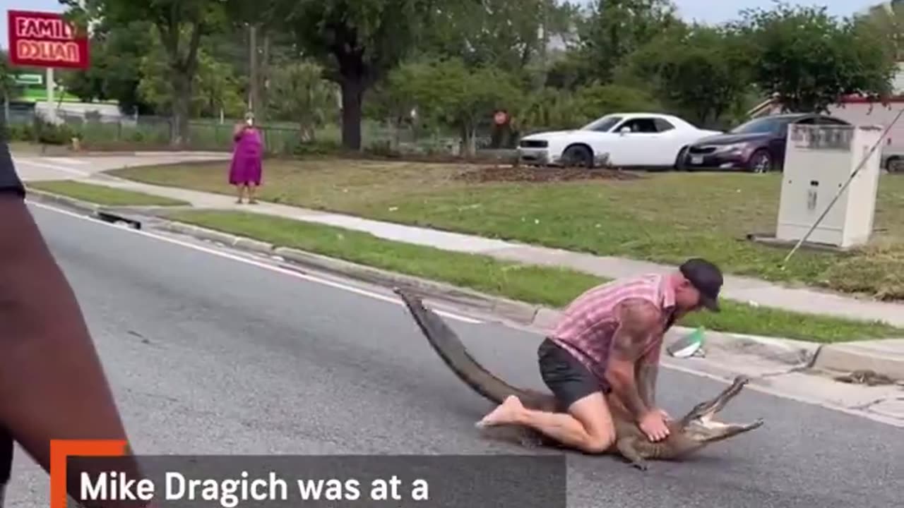 Florida Man catches Alligators by Hand ...Super hero in Real Life