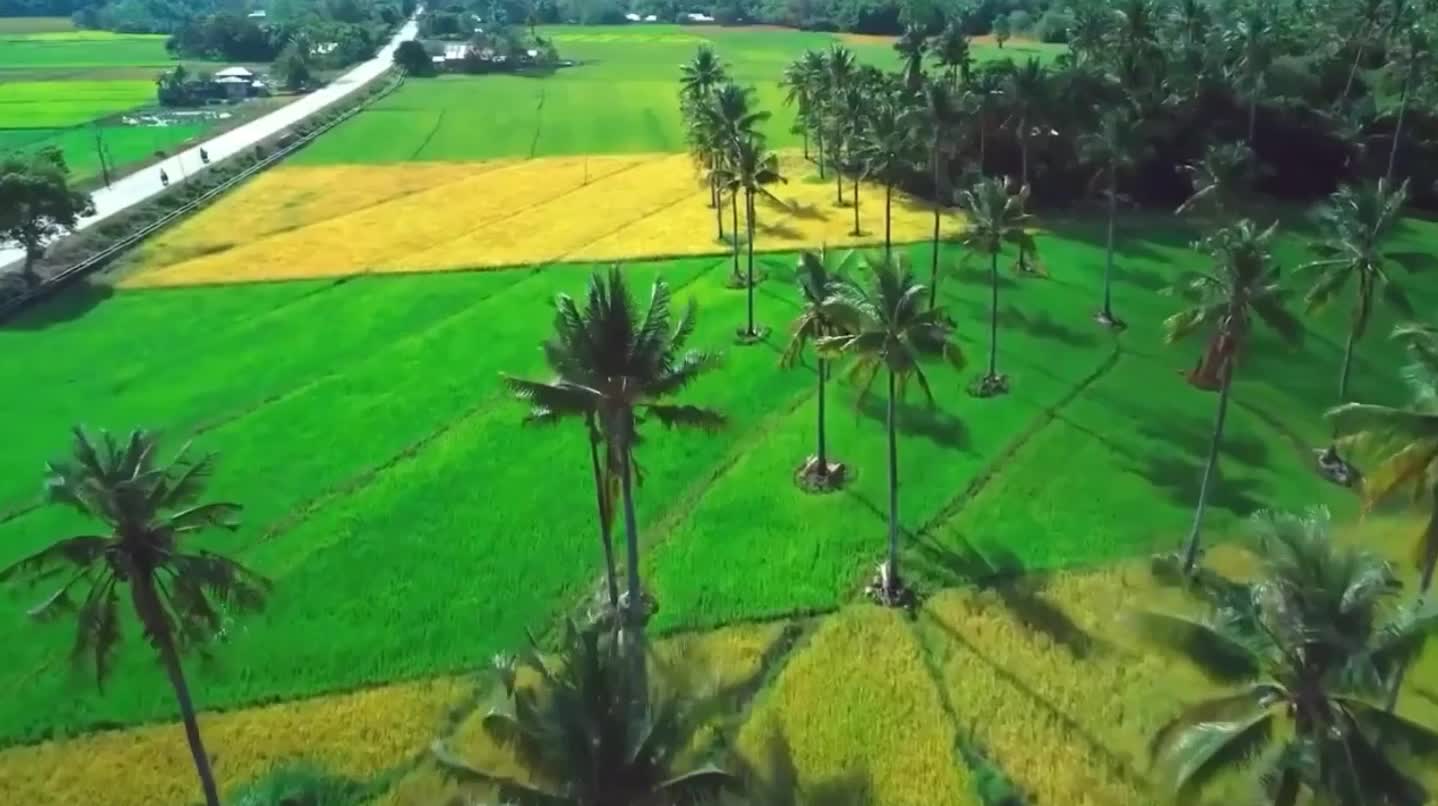 INDAH NYA PULAU BALI