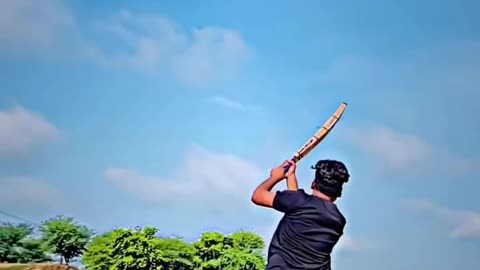 Cricket lover