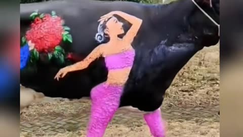 sexy cow