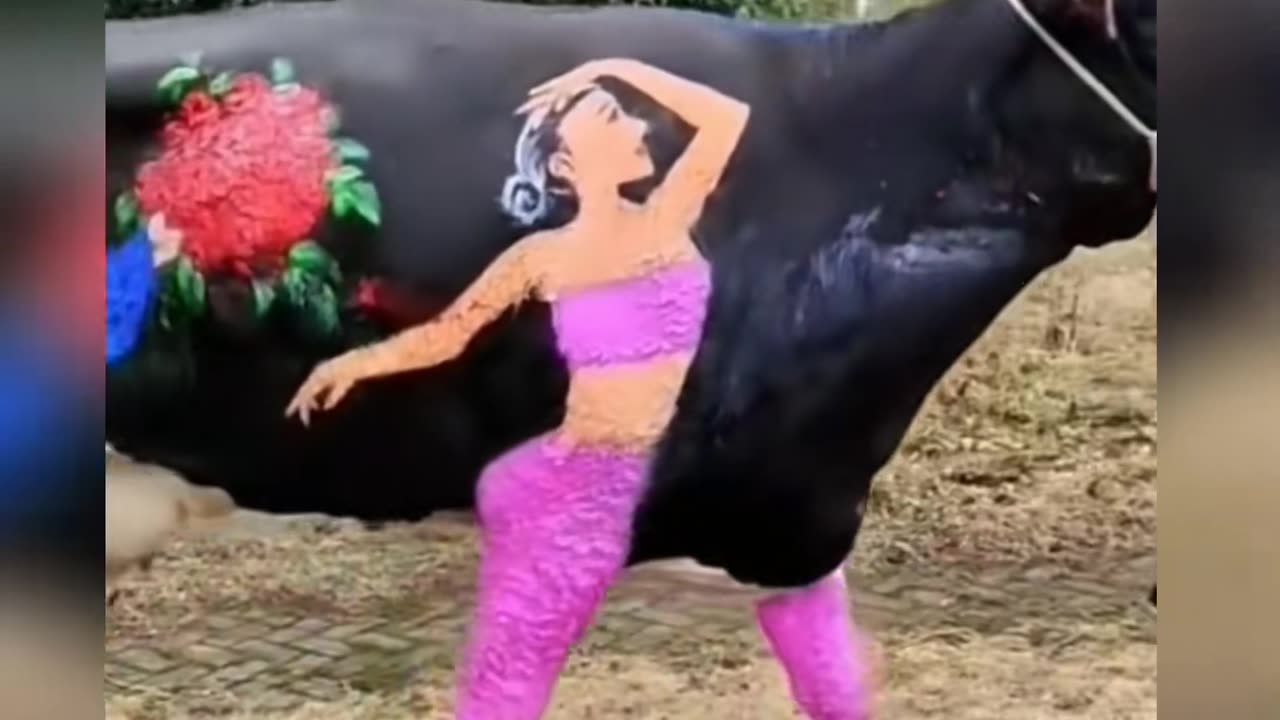 sexy cow