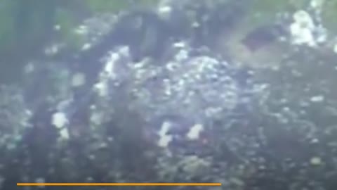 Experts say Mexican gov’t falsified probe into 2014 missing students case I Al J