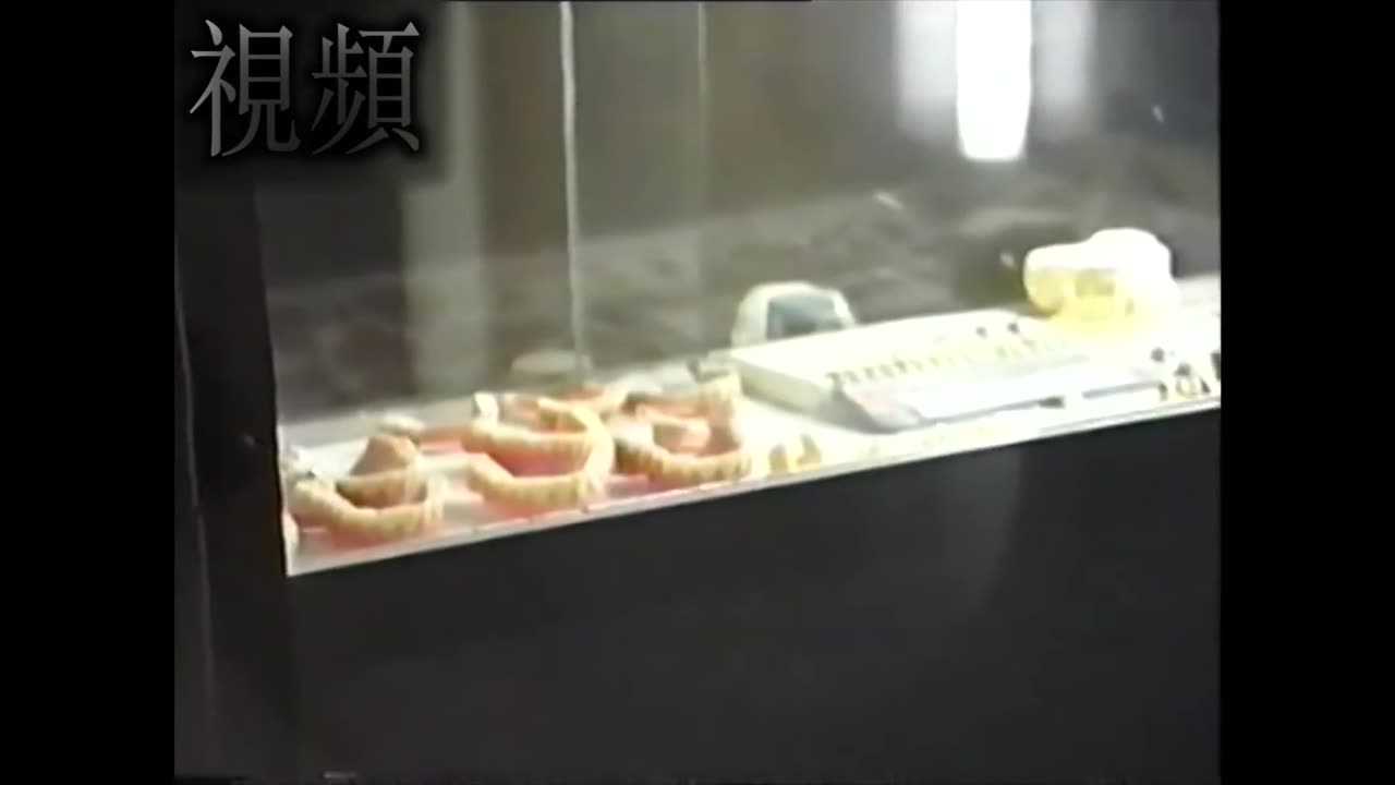 城牆 - _vidnas [jy73BwGjQAI]