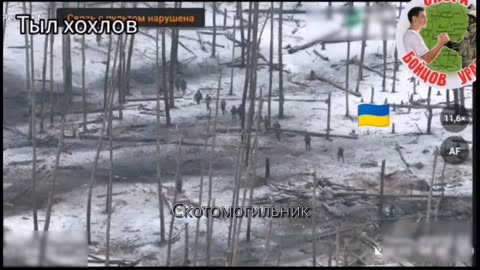 Ukrainians Retreating En Masse From Their Positions in the Serebryansky Forest