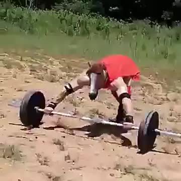 IMMUNITY ACHIEVED NO FAUCI INJECTION REQUIRED