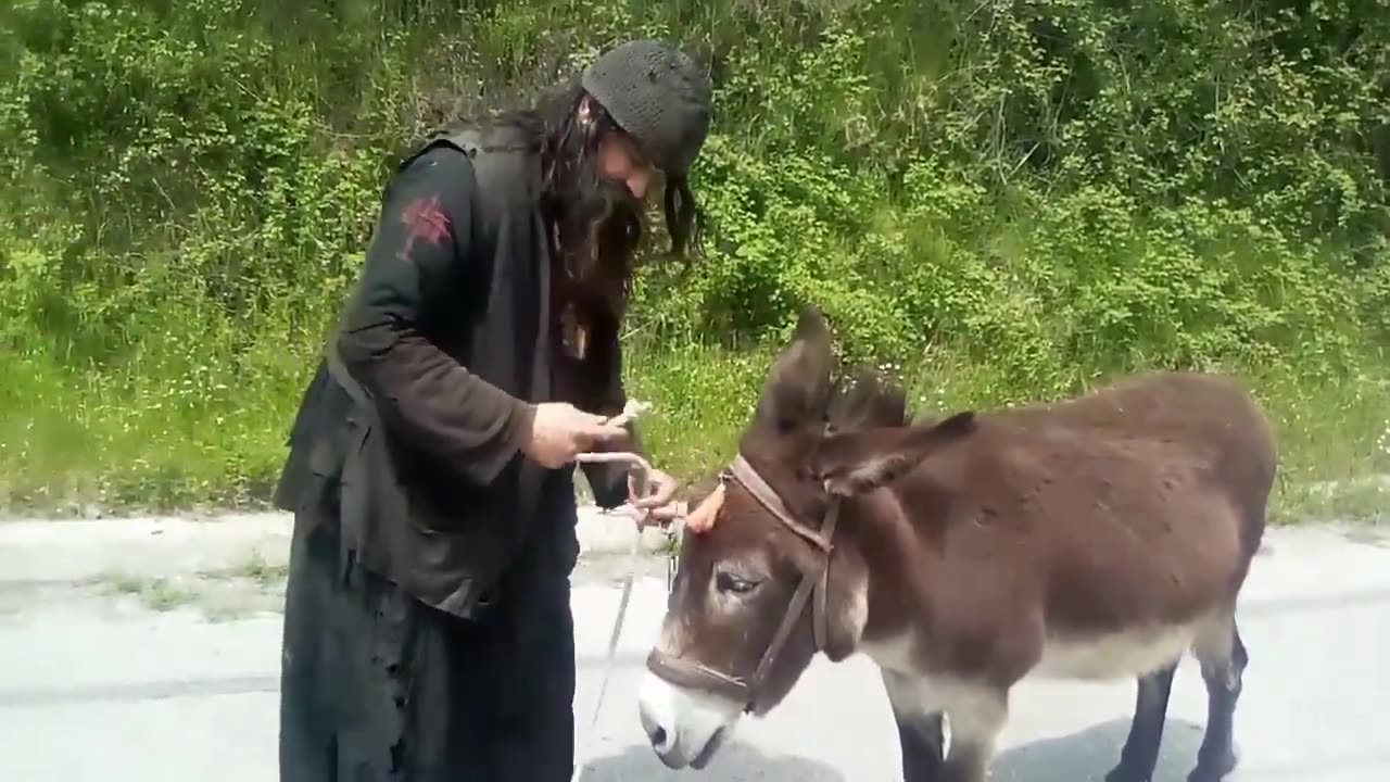 ΤΑ ΕΥΛΟΓΗΜΈΝΑ ΖΩΑ