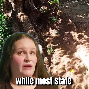 5 things you should be doing to prepare your kids for the eclipse #eclipse2024 #homeschool