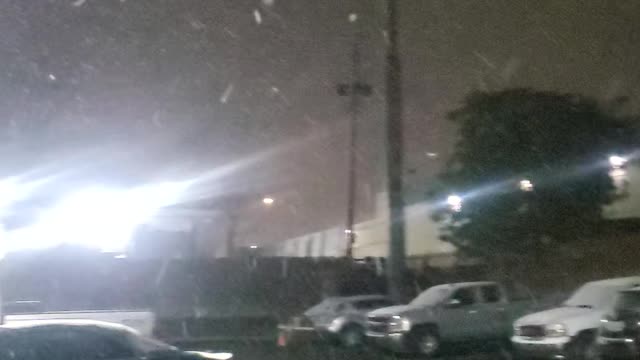 Snow Fall