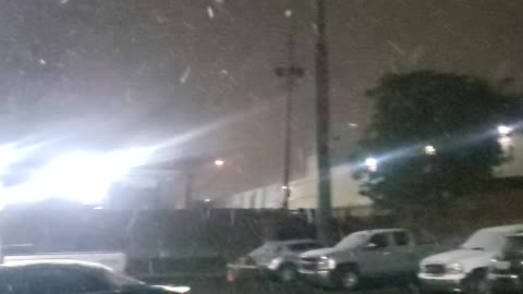 Snow Fall