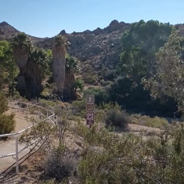 VISITING JOSHUA TREE NATIONAL PARK IN PALM SPRINGS CALIFORNIA 1