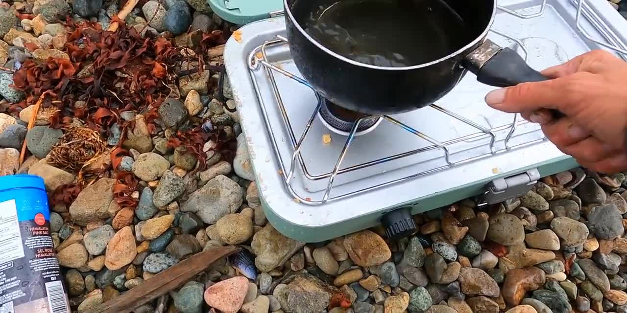 30 Day Survival Challenge_ Vancouver Island +=21