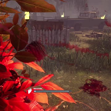 Élodie's bad hair day