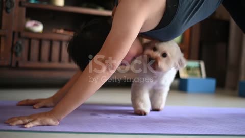 Middle-aged woman doing yoga at home while disturbing her dog.