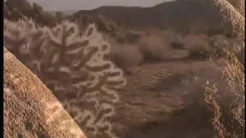 Condicionamento - #8 - Além do mito e da tradição