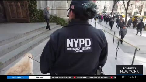 NYPD detective following in her father's footsteps alongside K-9