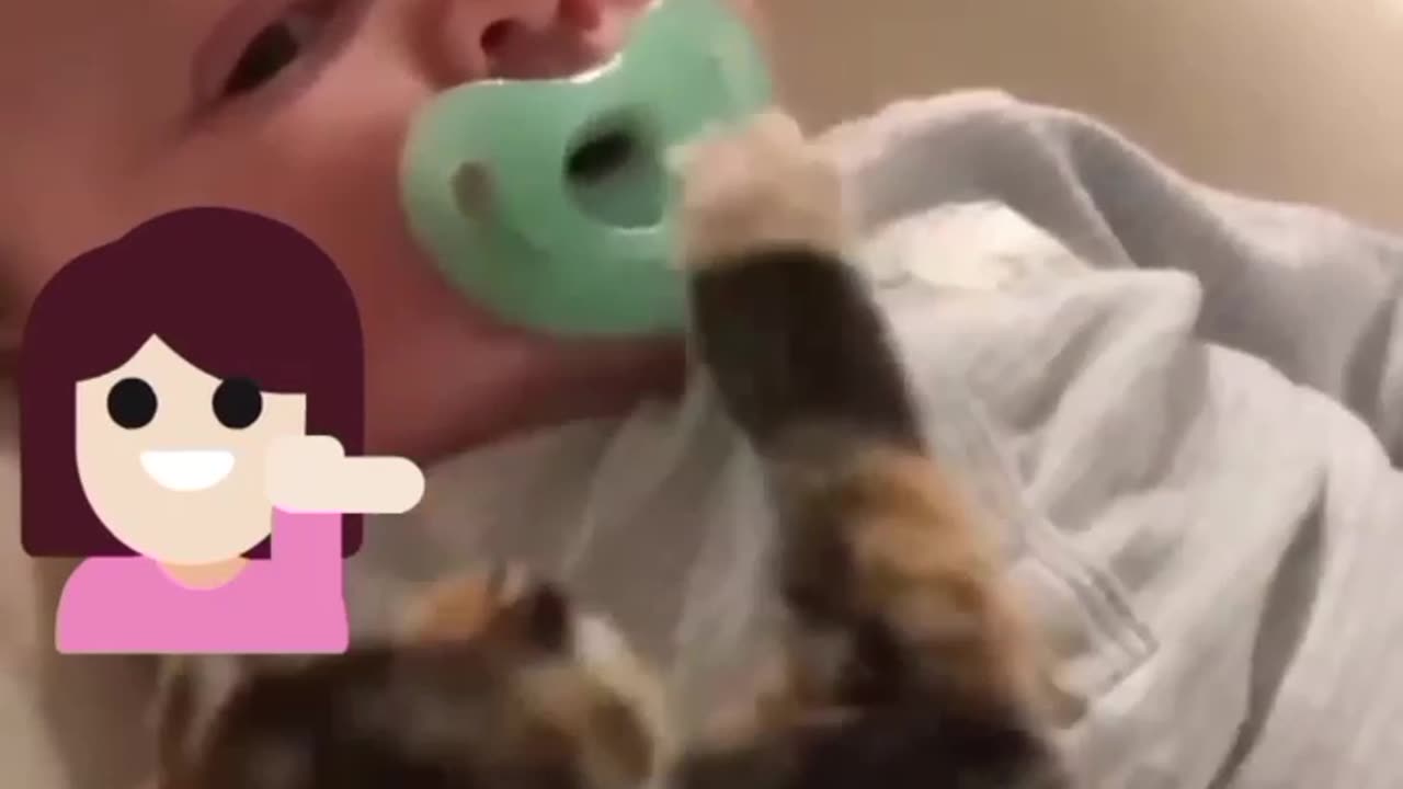 Funny cats| this cat is the best friend to this child😍😂