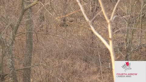 Larry McCoy of Respect the Game gets 10 pointer