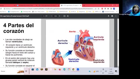 Escuela de padres Chile: Sistema circulatorio parte 4