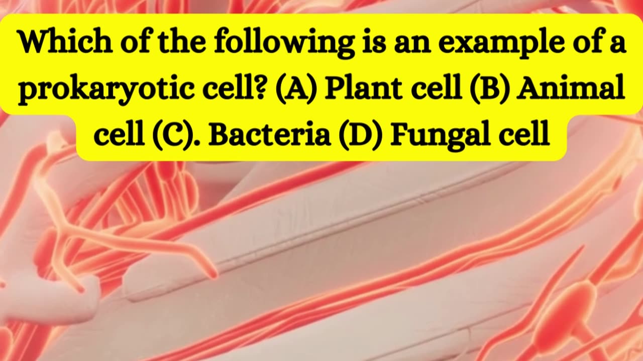 BIOLOGY RIDDLE#2