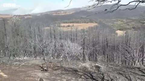 Wildfires breakout in Northern Spain following heatwave - BBC News