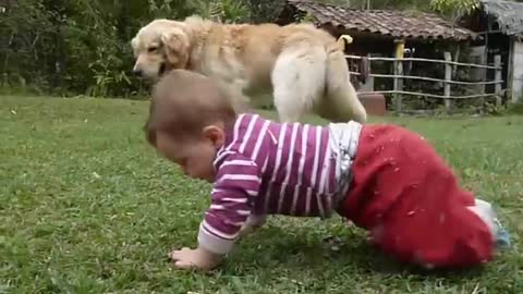 Boy Caught On Video Sneaking Into Garage to Hug Dog