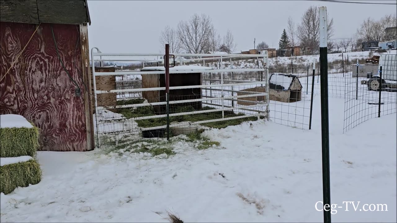 Graham Family Farm: Snow turning to Slush