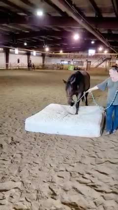 Teenage Courage: The Story of a Brave Girl!