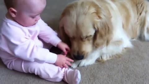 Funny Babies with Dogs Compilation