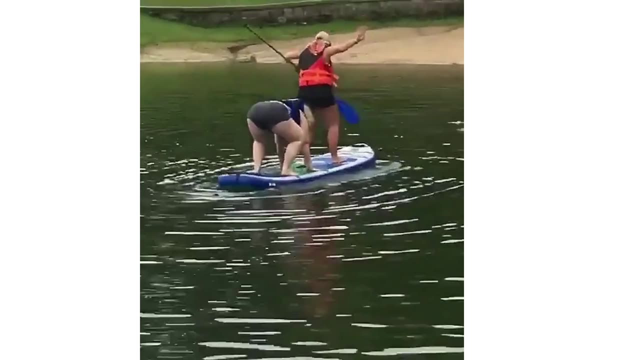 funny videos