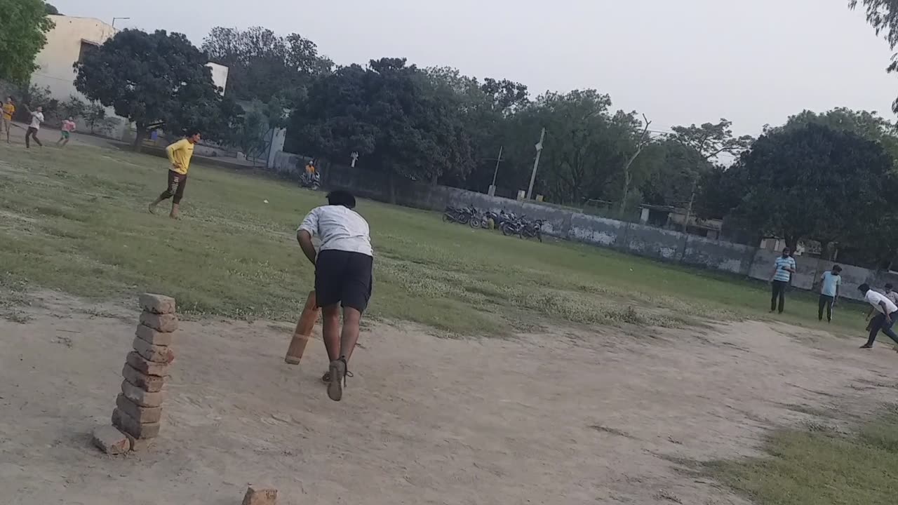 Cricket fun