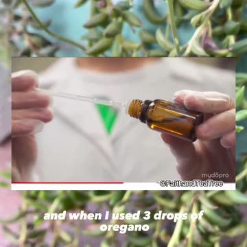 The power of Oregano oil and Clove Bud oil