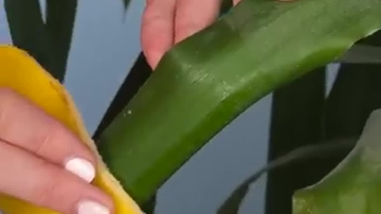 Unusual Hacks For Growing Plants Anywhere 🌱