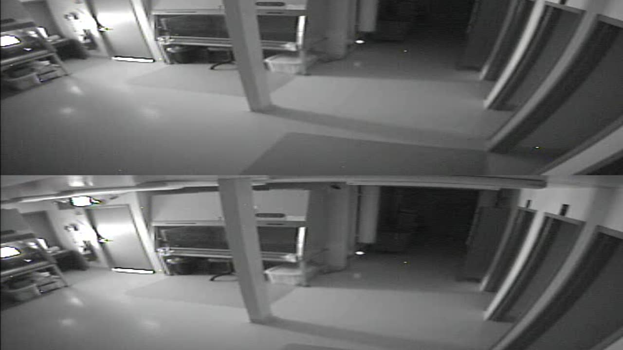 1702CRIB01CribAnalysisArea_2021-01-05_23h05min08s340ms.mp4