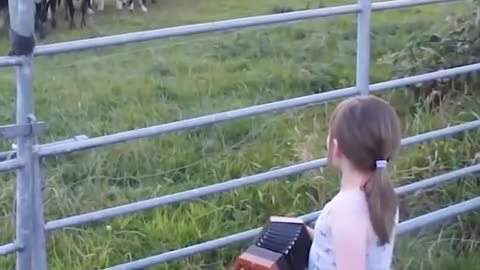 The Power of Music | Little Girl Serenades Herd Of Cows | Music is Love